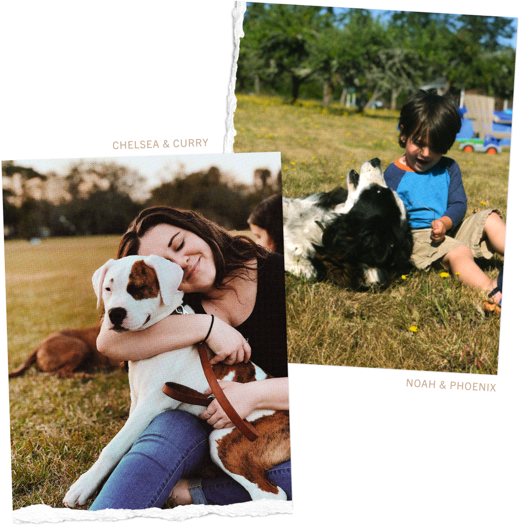 Adult woman hugging her white Pitbull terrier dog mix and young boy petting his Border Collie dog outside.